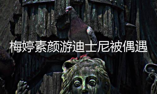 被偶梅婷排队素颜士尼四口气游迪遇 一家低调接地